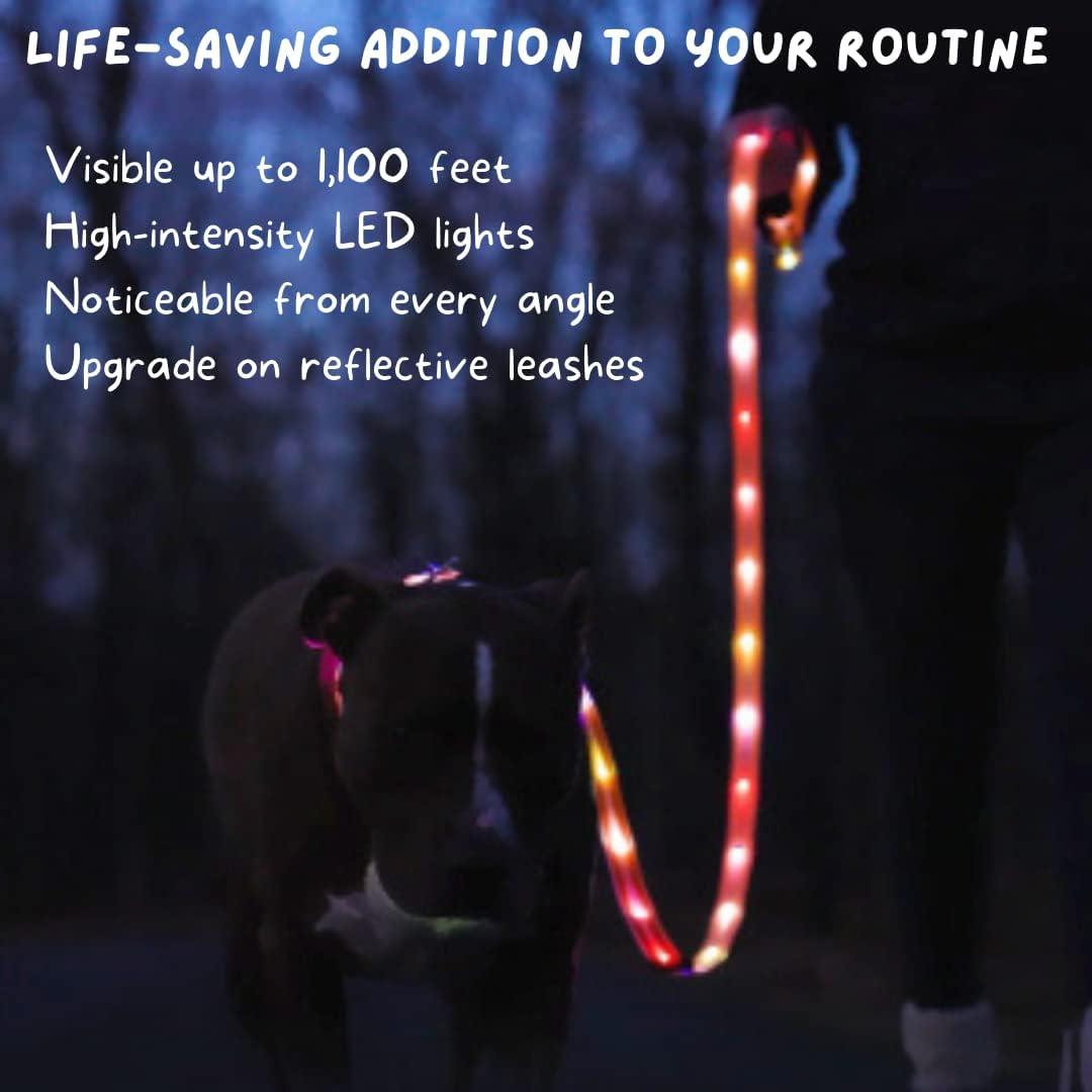 Correa LED Iluminada Flash Pet 1.83m Recargable USB Seguridad