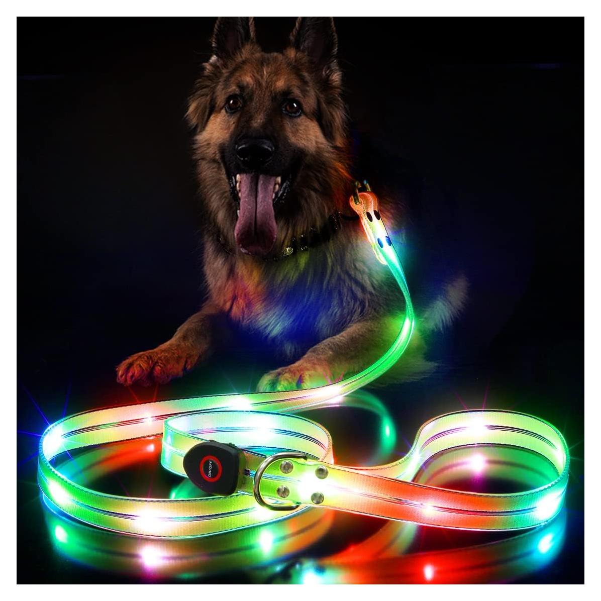 Correa para Perro LED Impermeable ChunlongFour 120cm Verde
