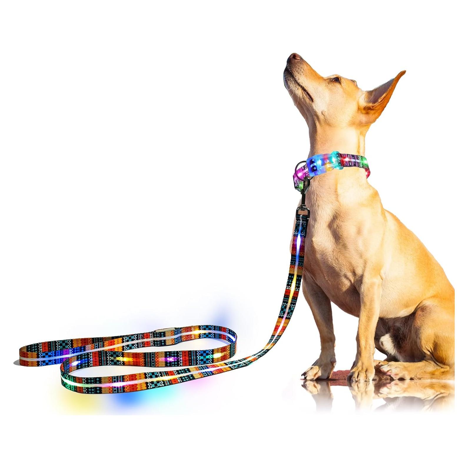 Correa LED Iluminada para Perros YUSHANG 1.5 m Recargable