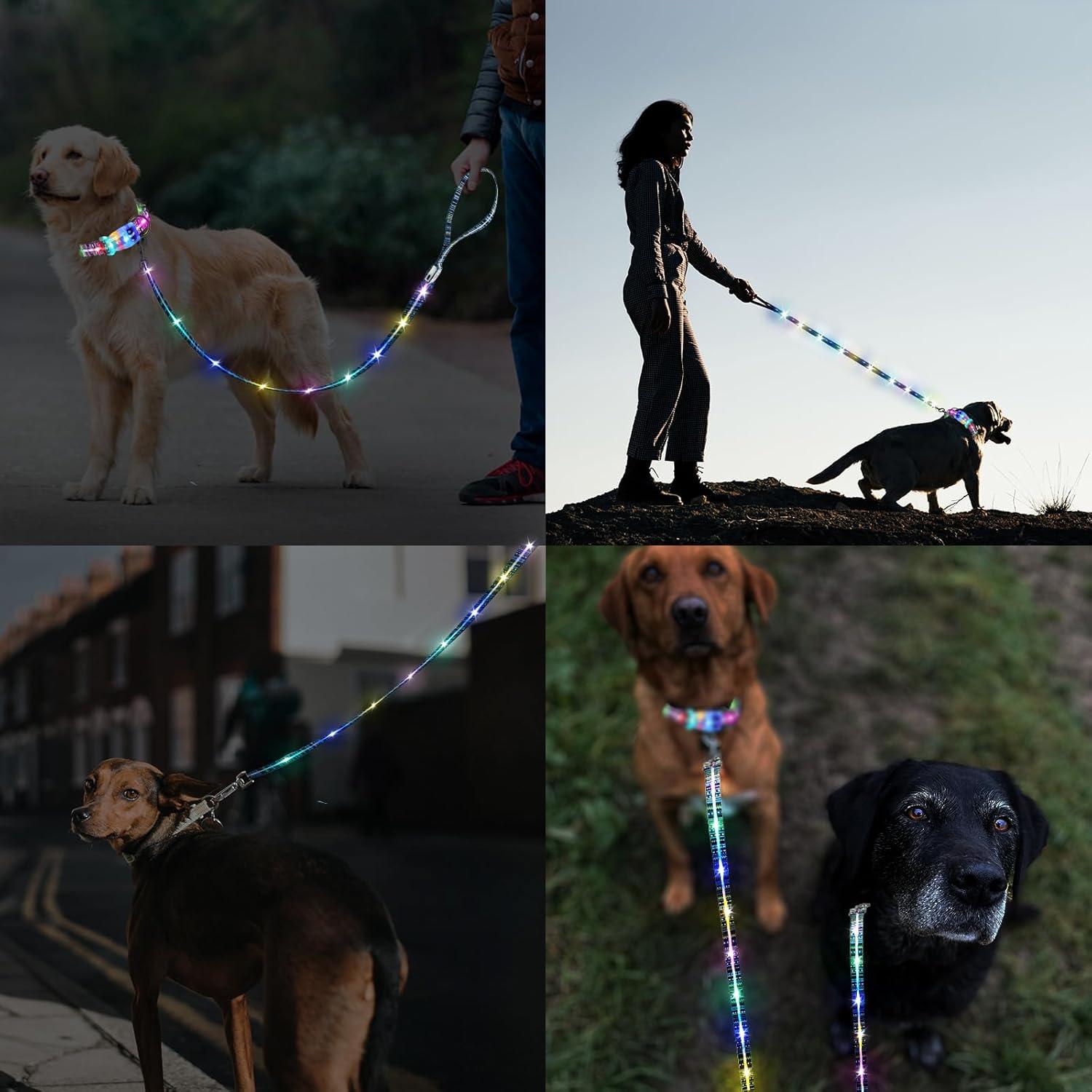 Correa LED Iluminada para Perros YUSHANG 1.5 m Recargable