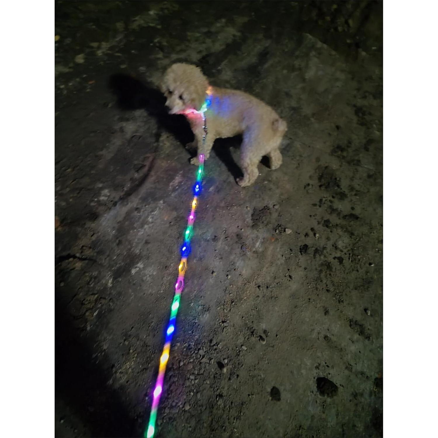 Correa LED Iluminada para Perros YUSHANG 1.5 m Recargable
