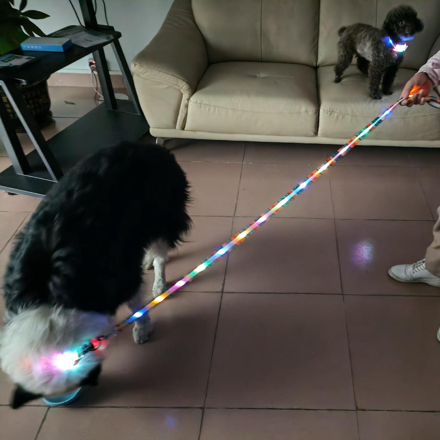 Correa LED Iluminada para Perros YUSHANG 1.5 m Recargable