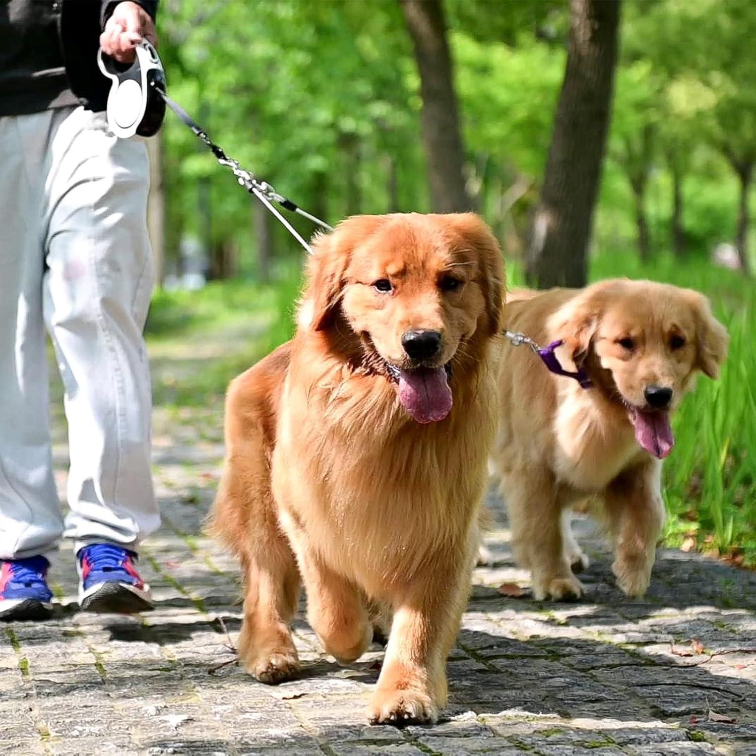 Correa Retráctil Doble para Perros EXPAWLORER 4.88m Resistente