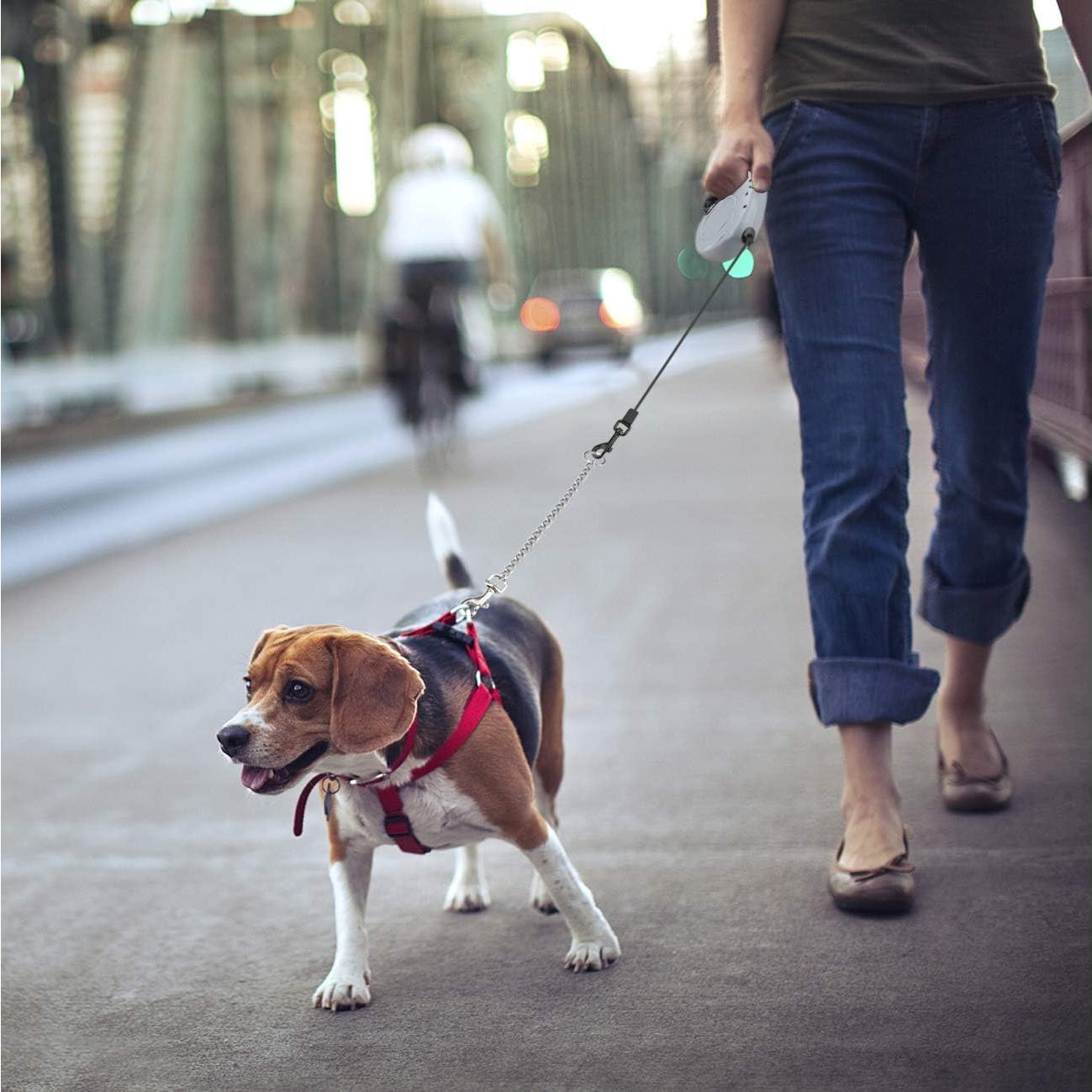 Correa Retráctil Idepet 4.88m para Perros Pequeños y Medianos