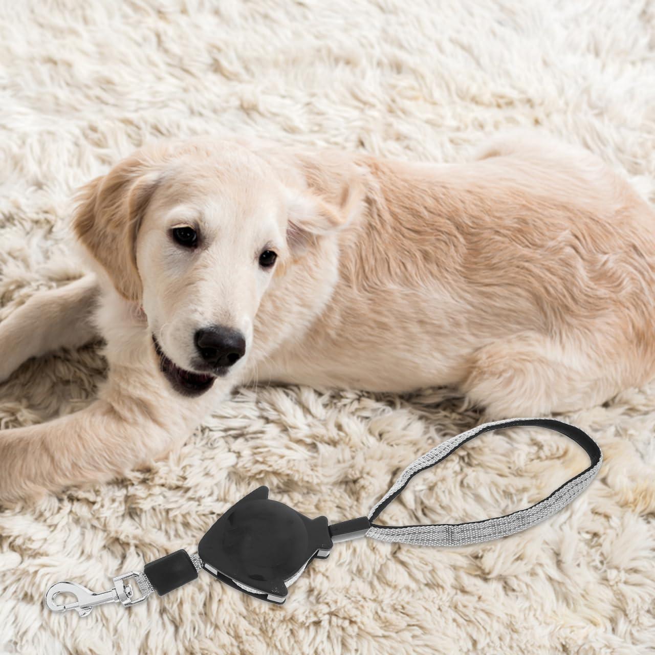 Correa Retráctil para Perros Alipis 12x10cm Entrenamiento