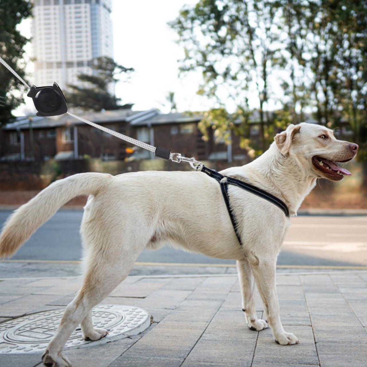 Correa Retráctil para Perros Alipis 12x10cm Entrenamiento