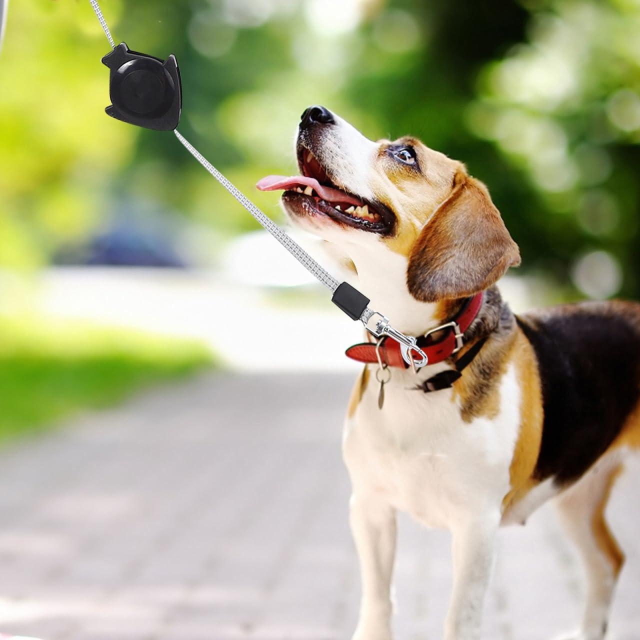 Correa Retráctil para Perros Alipis 12x10cm Entrenamiento