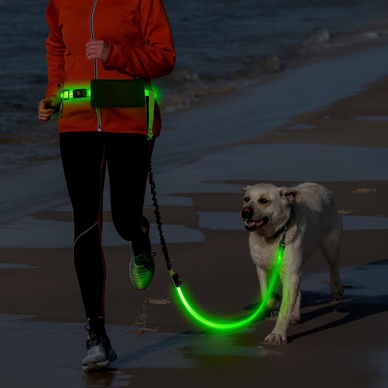 Correa LED Manos Libres para Perros Vizbrite Verde 0.5kg