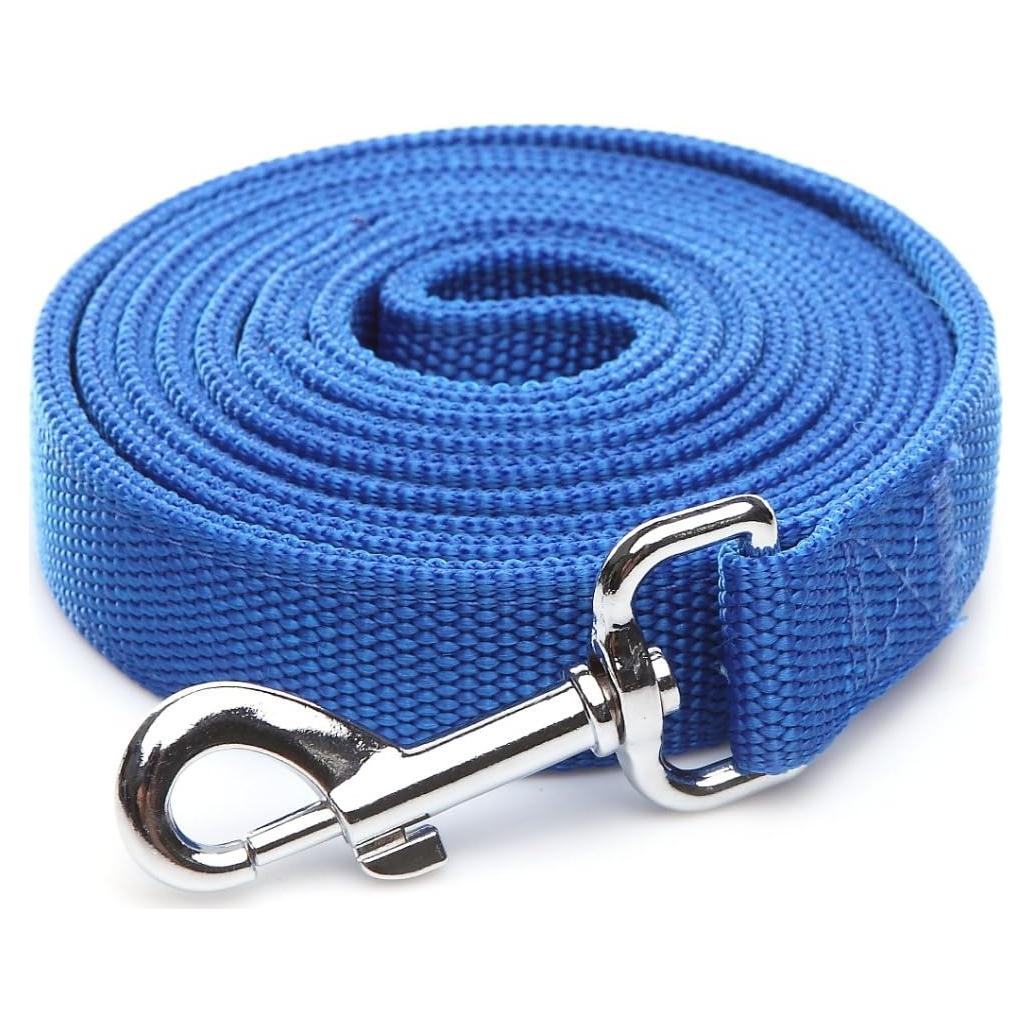 Correa de Perro de Nailon 2 Capas TAIDA 1.22 m Azul