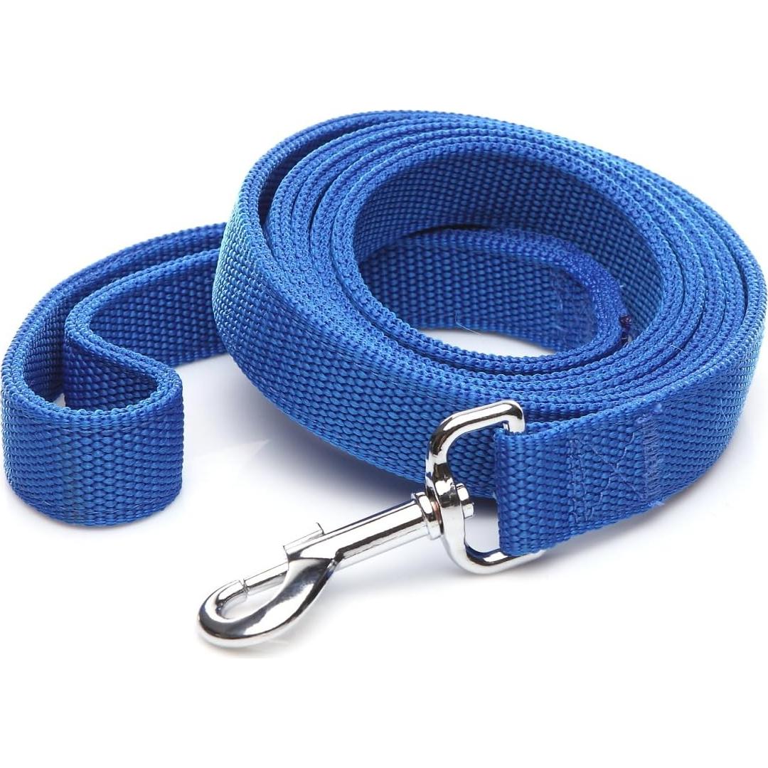 Correa de Perro de Nailon 2 Capas TAIDA 1.22 m Azul