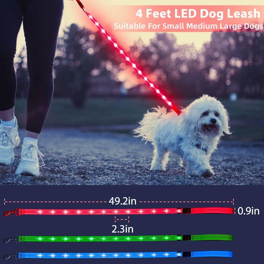 Correa LED para Perros Candofly 1.22m Recargable USB Rosa