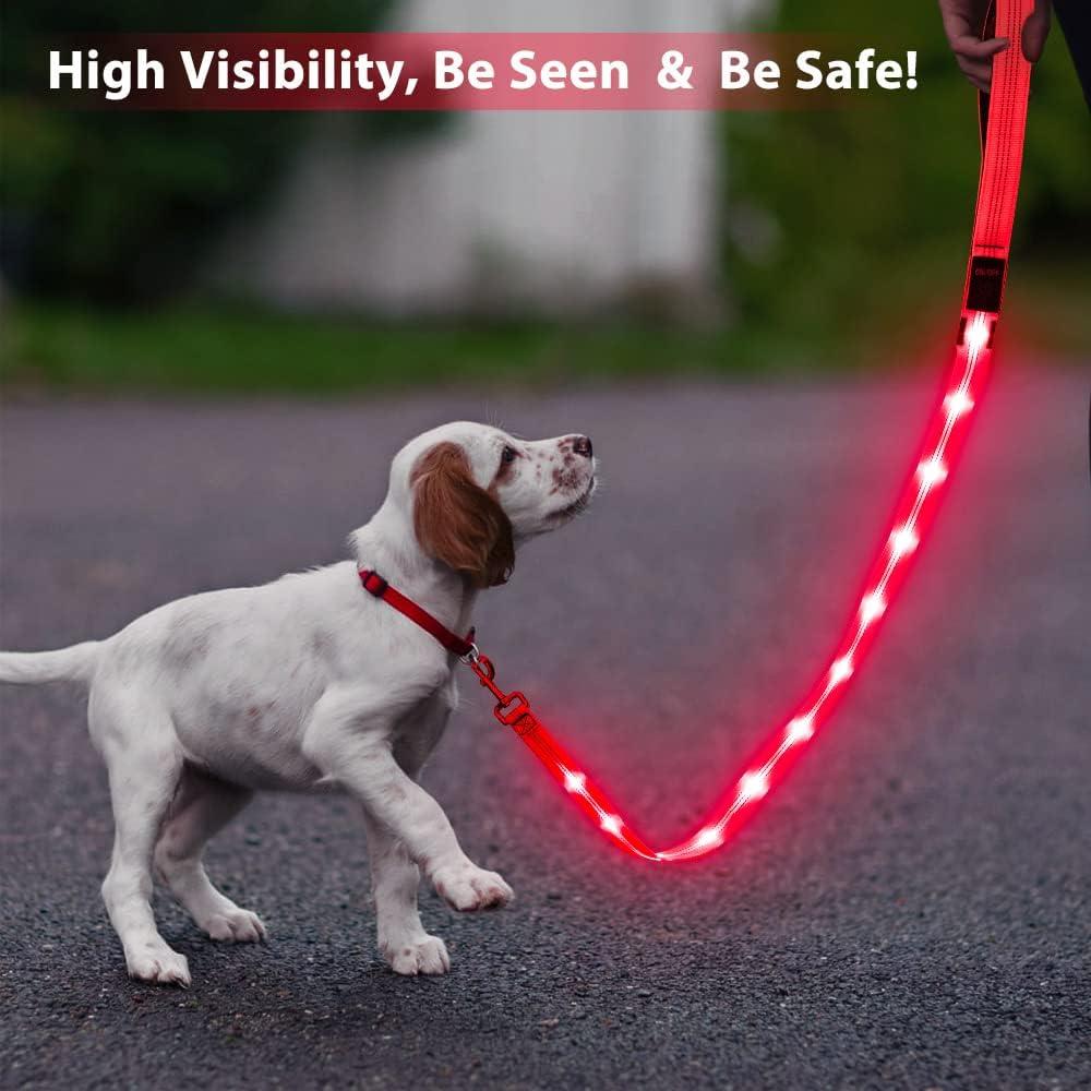 Correa LED para Perros Candofly 1.22m Recargable USB Rosa