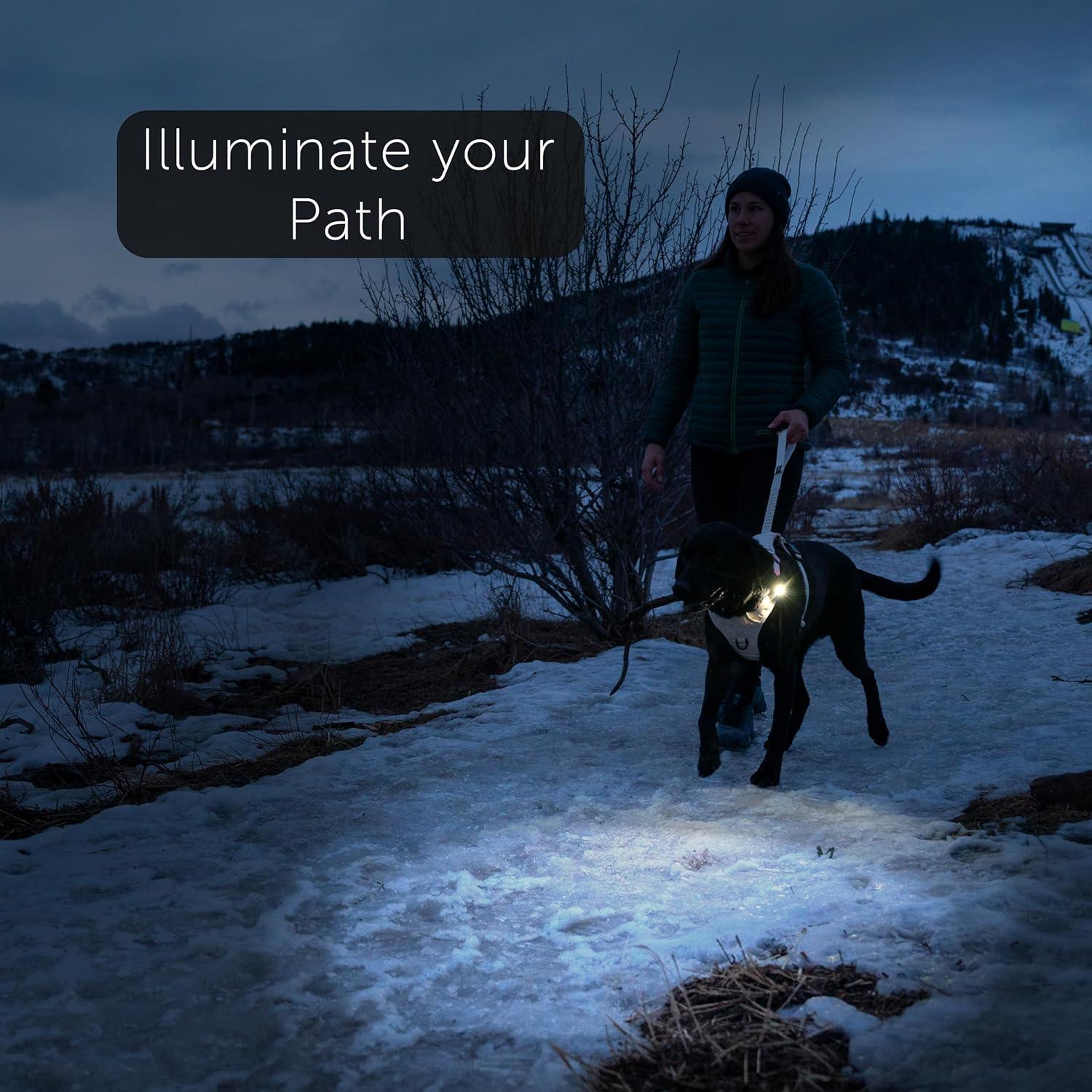 Luz LED Recargable TUG para Perros - Clip-on Seguridad Nocturna