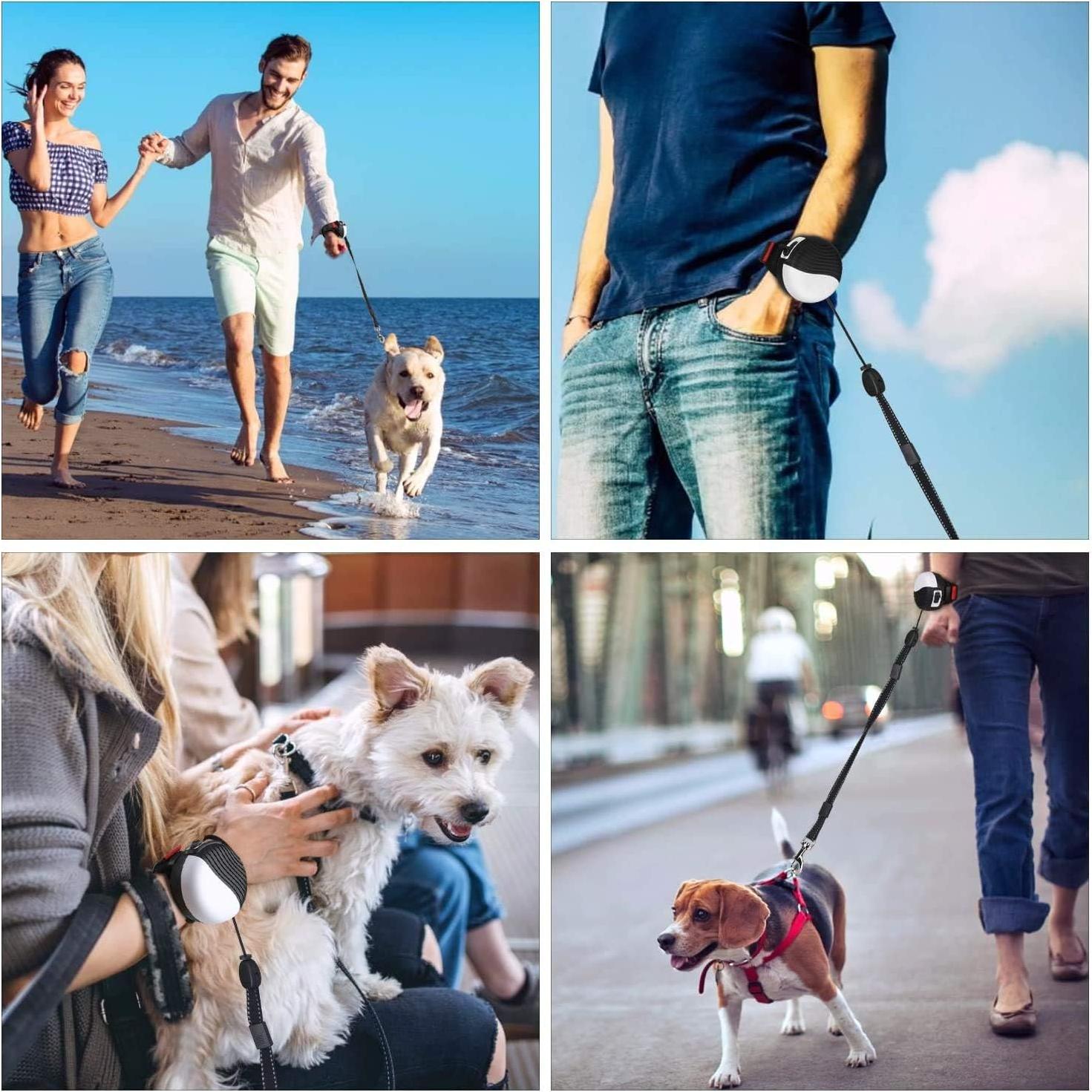 Correa de perro retráctil manos libres XIANGXING 2.5m nylon