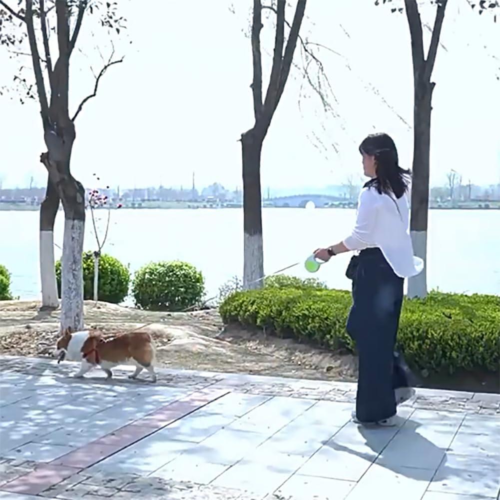 Correa Retráctil para Perros YOUALSO 3m Ajustable Nylon Negro