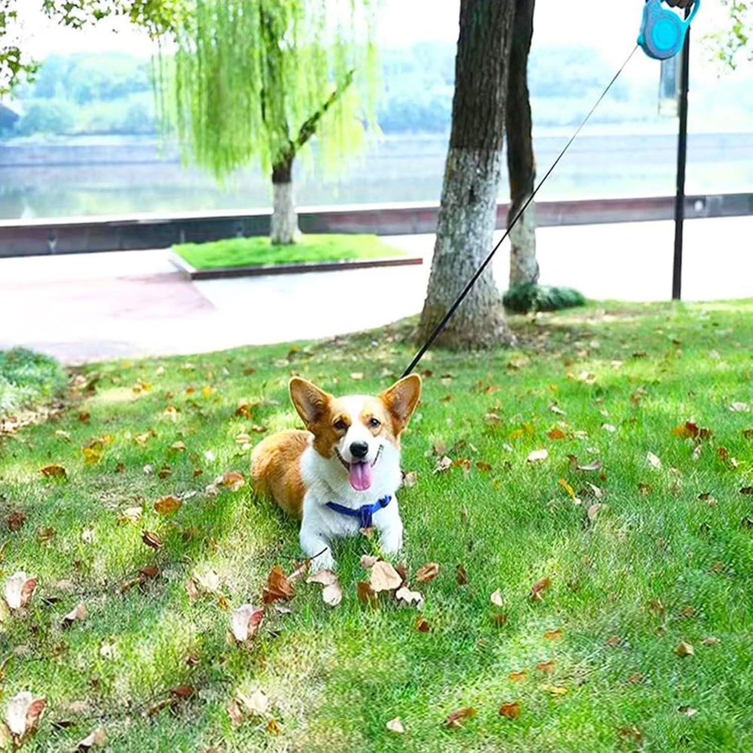 Correa Retráctil para Perros Pequeños PETIMP 3M Antideslizante