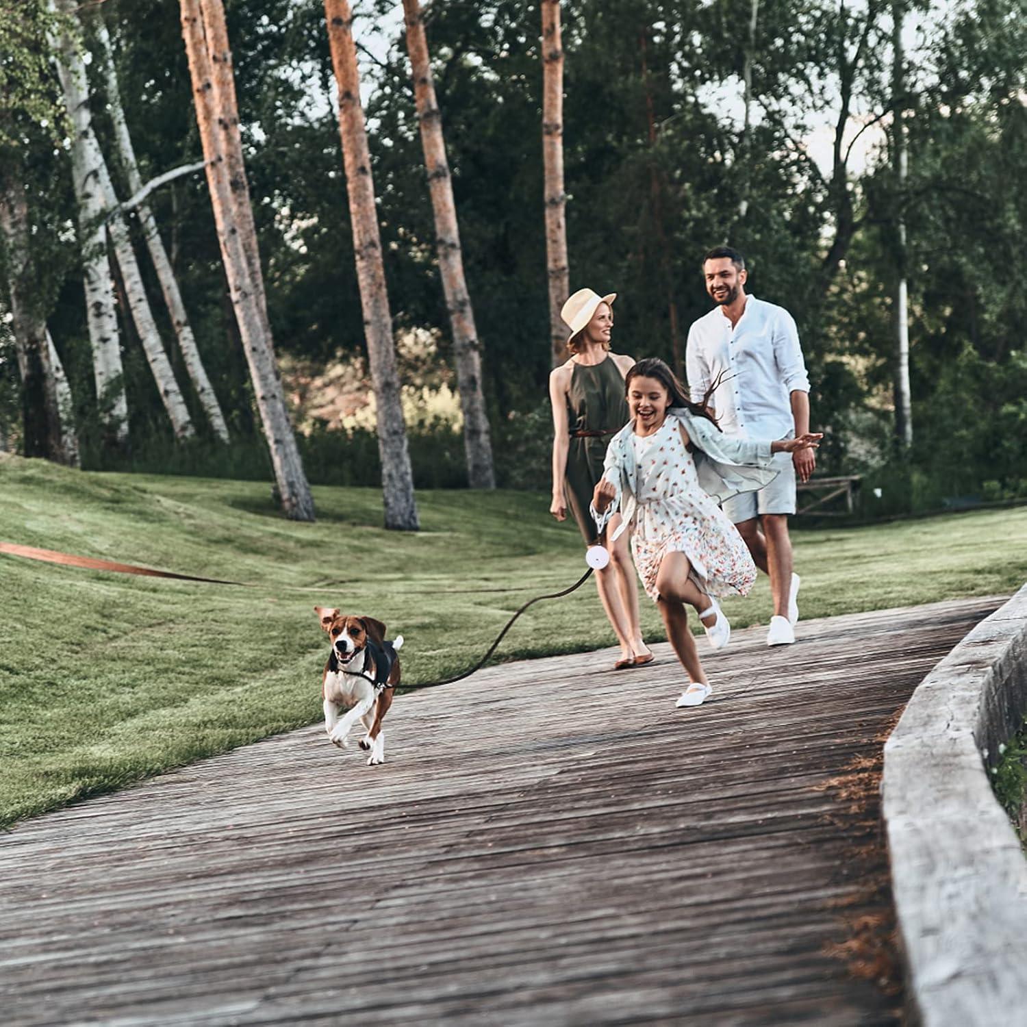 Correa retráctil para perros pequeños CUGBCUG 3 m nylon blanca