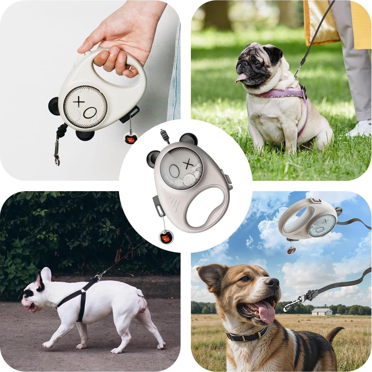 Correa Retráctil para Perros HamInWay 3.96m Nylon Antienredos