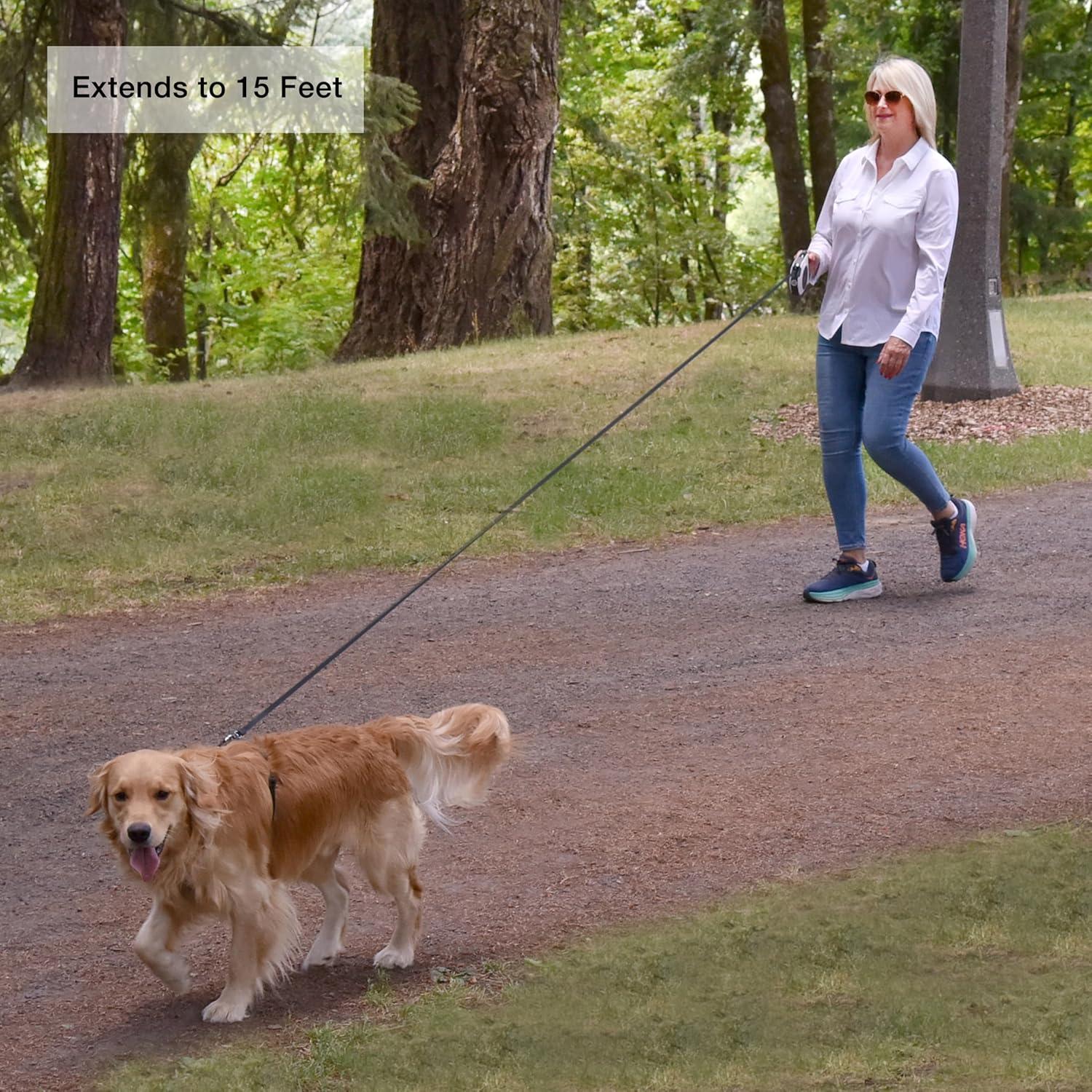 Correa Retráctil para Perros Hounds & Pups 4.57m con Luz LED