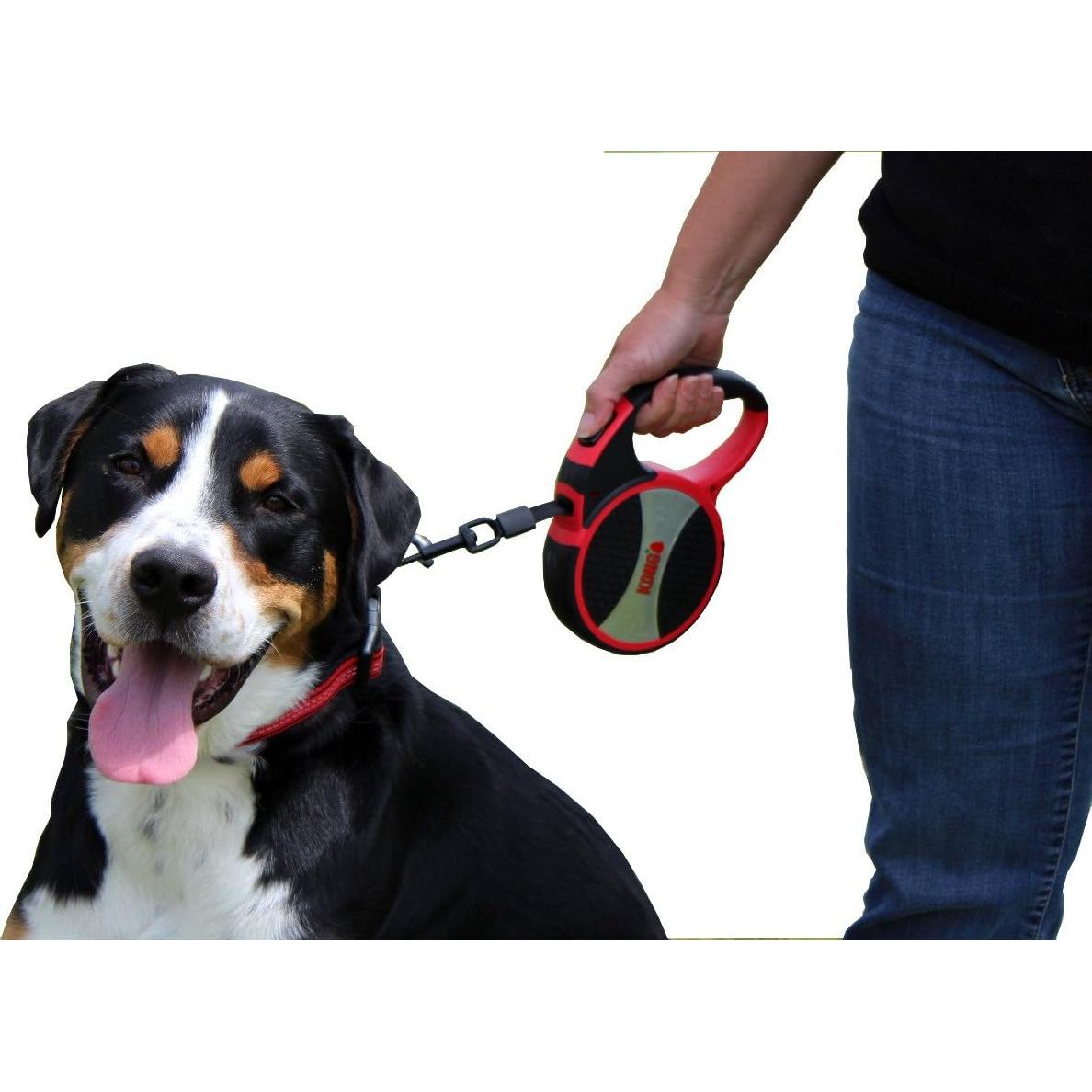 Correa Retráctil para Perros KONG Terrain Grande 4.88 m Azul