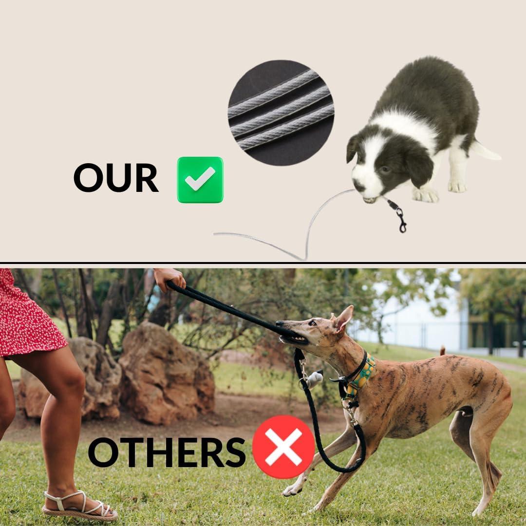 Correa Retráctil YAGHEE de 4.88m para Perros hasta 11.79kg