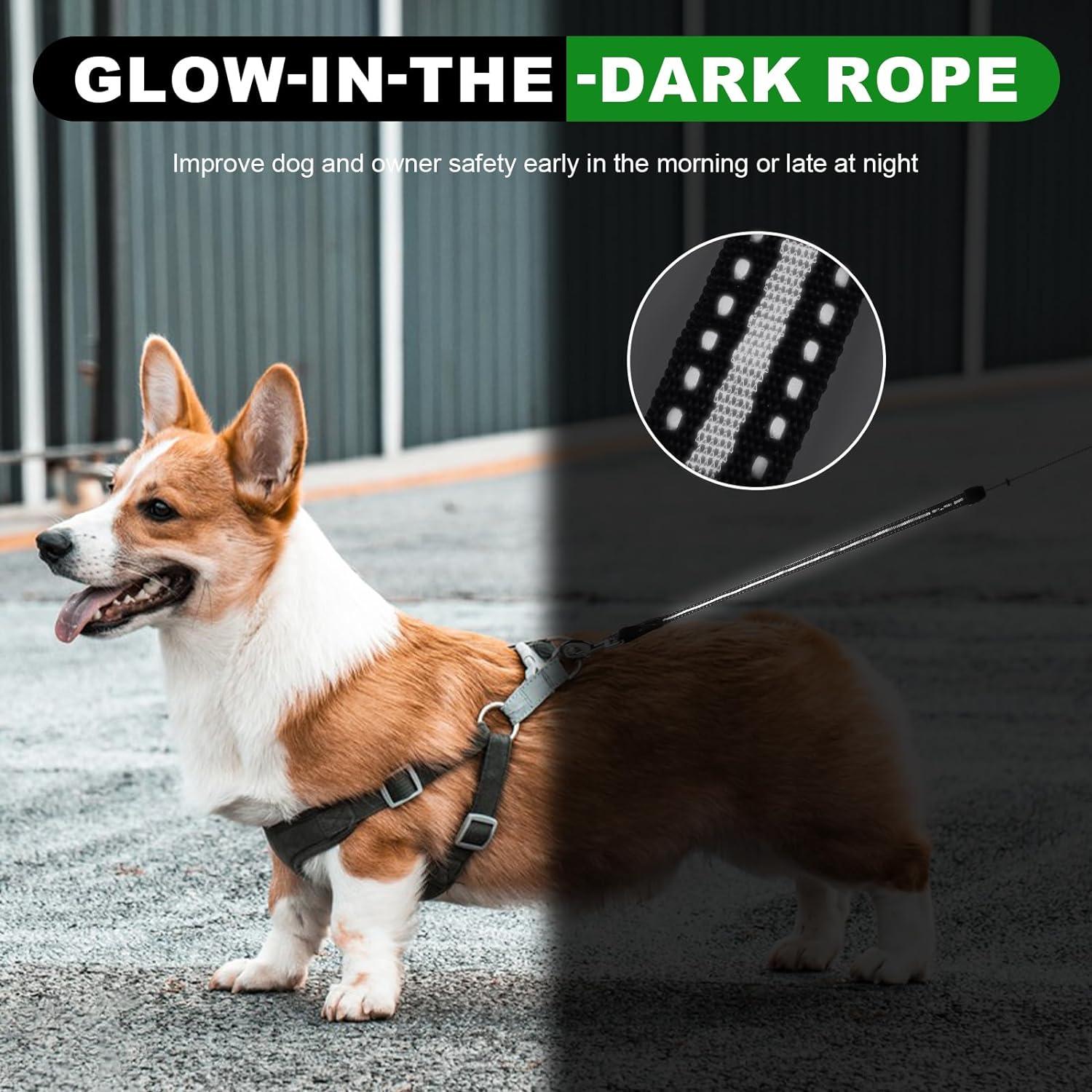 Correa Retráctil para Perros 9.14 m Verde Nylon 35 kg