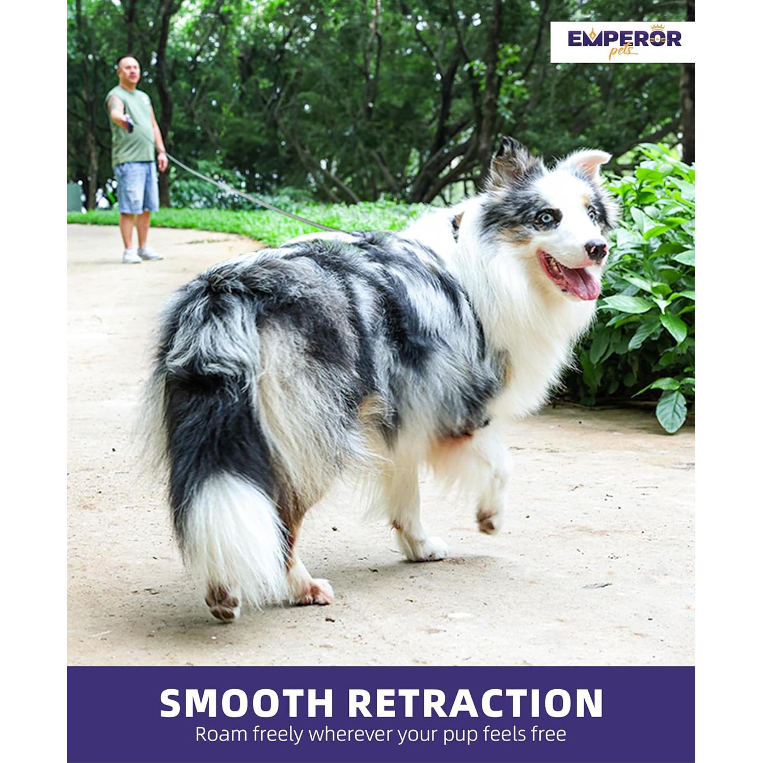 Correa Retráctil para Perros Grandes Emperor Pets 8 m Azul