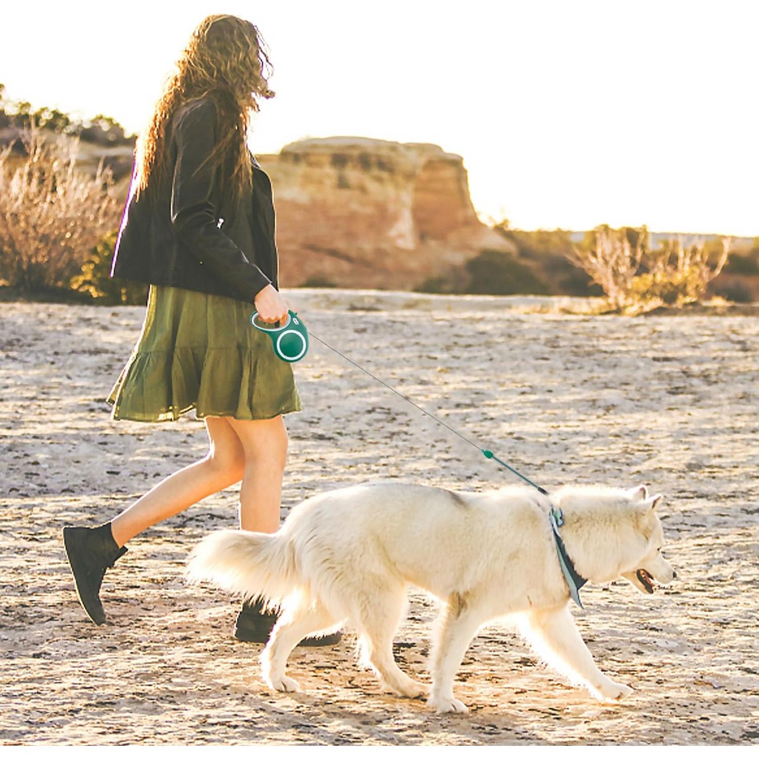 Correa de Perro Retráctil Meekamer 9 m para Perros hasta 35 kg