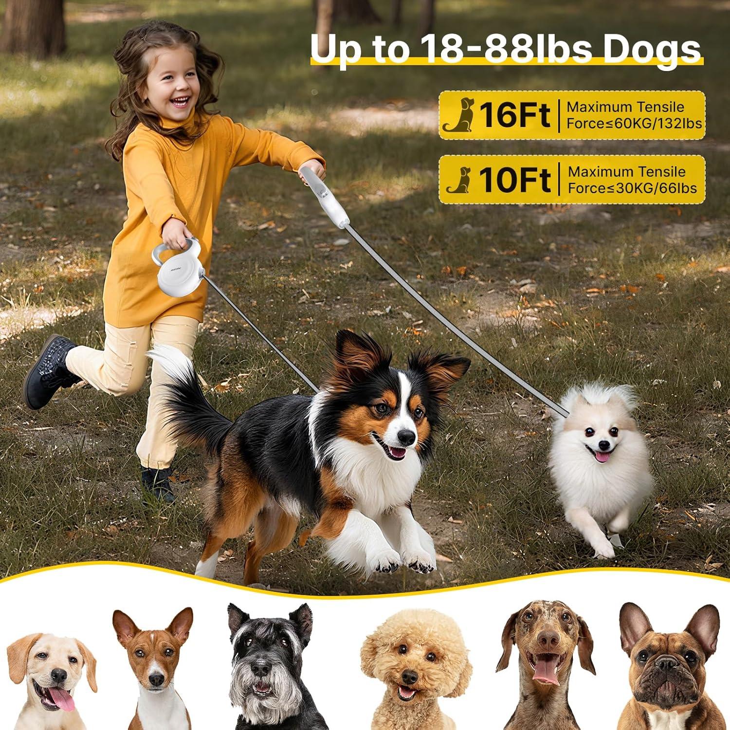 Correa Retráctil para Perros Petsuper 3M Auto-Freno Nylon 40kg