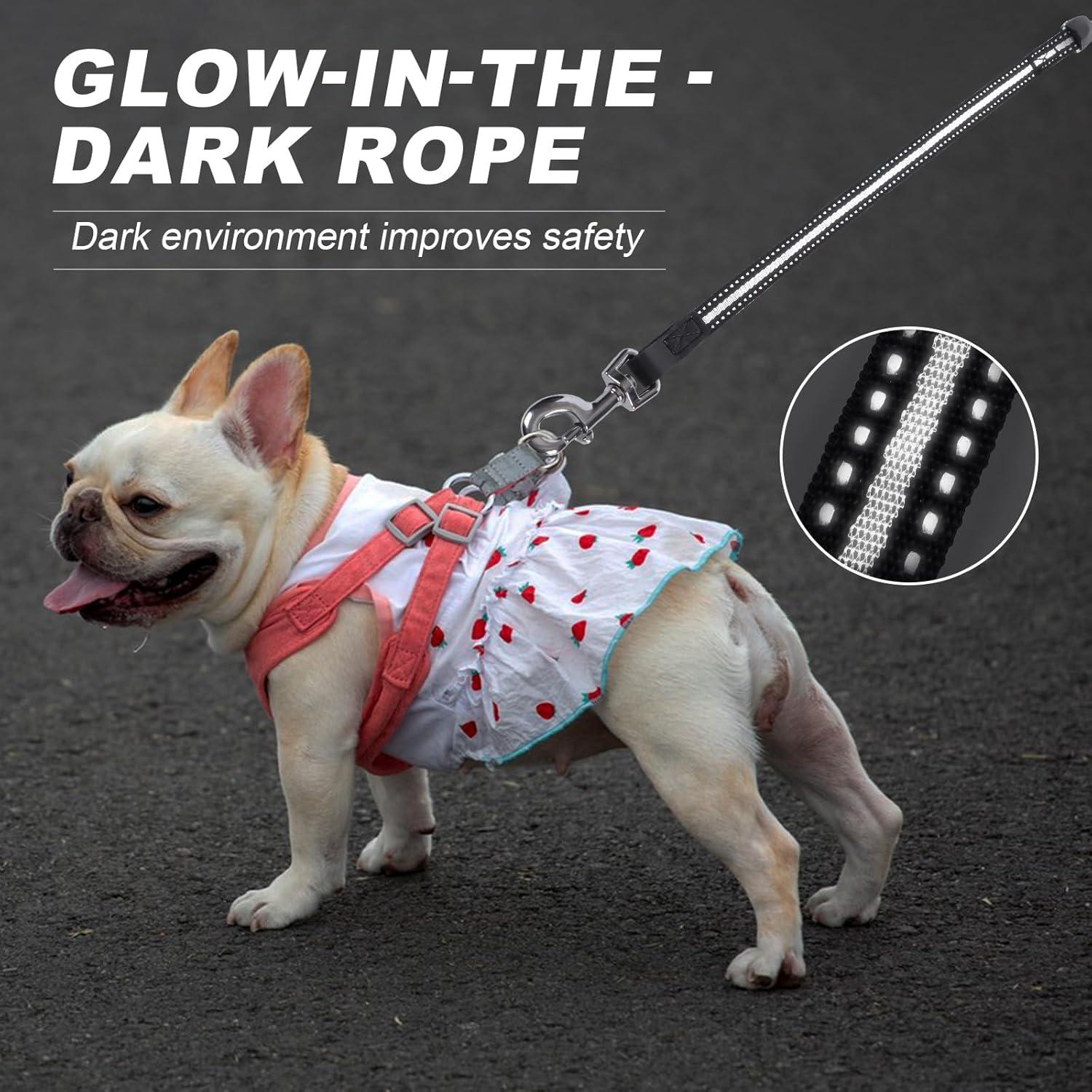 Correa de Perro Retráctil EC.TEAK 6.1m para 20kg