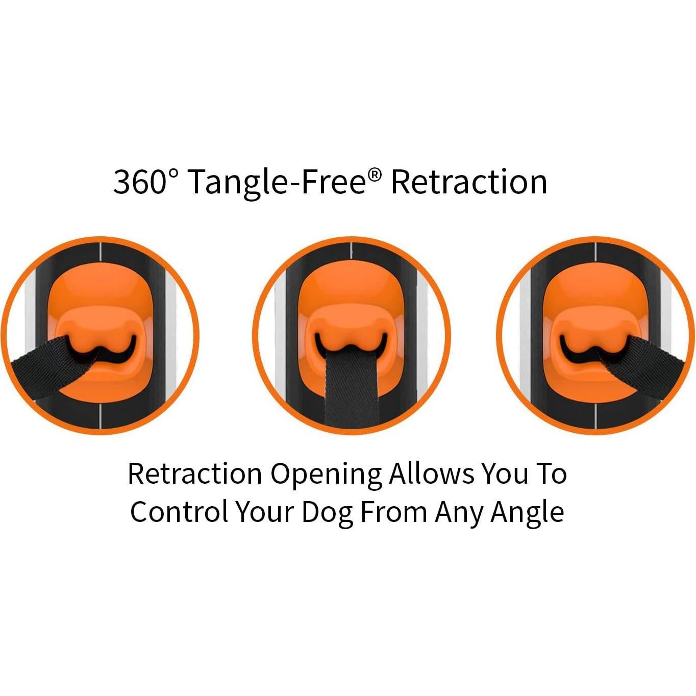 Correa Retráctil TUG Pequeña 4.88m con Dispensador de Bolsas