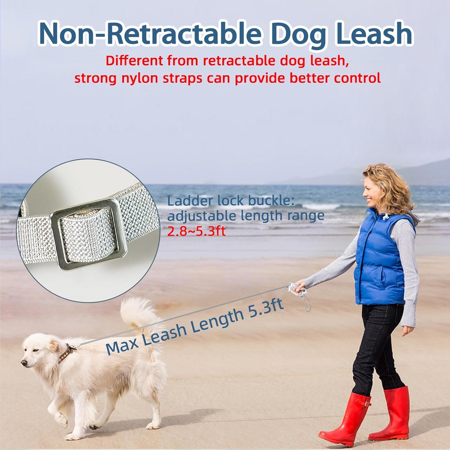 Correa de Perro No Retráctil ZenQeek 1.6m con Dispensador de Bolsas