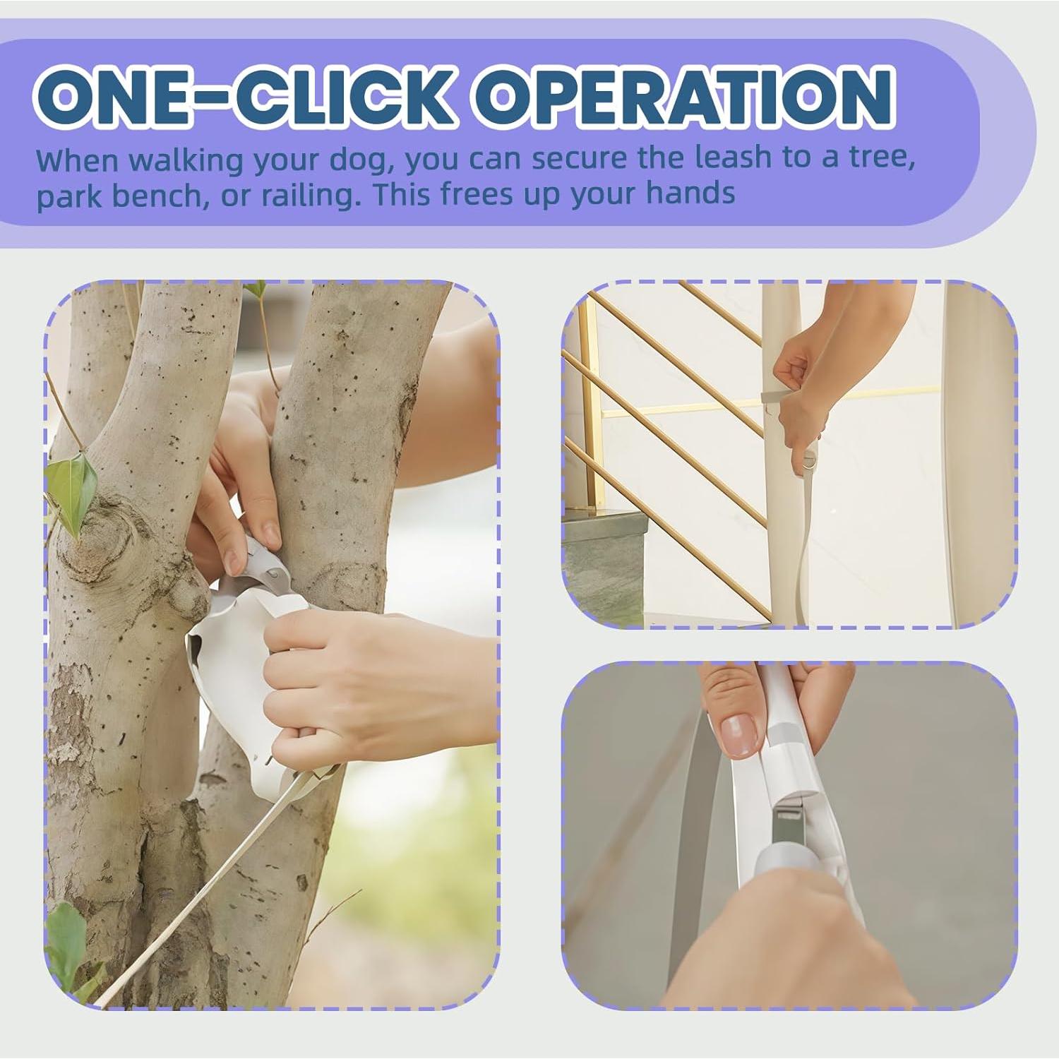 Correa de Perro No Retráctil ZenQeek 1.6m con Dispensador de Bolsas