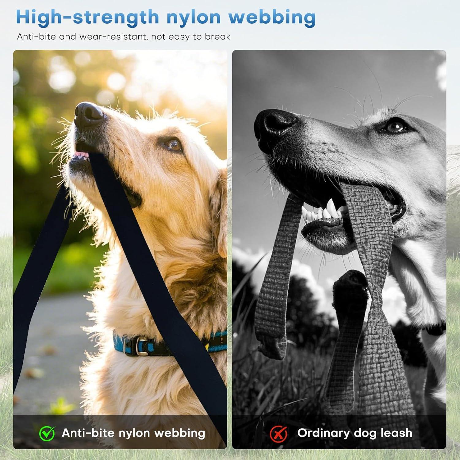 Correa Retráctil para Perros BAOXULAO 8 Metros Azul Resistente