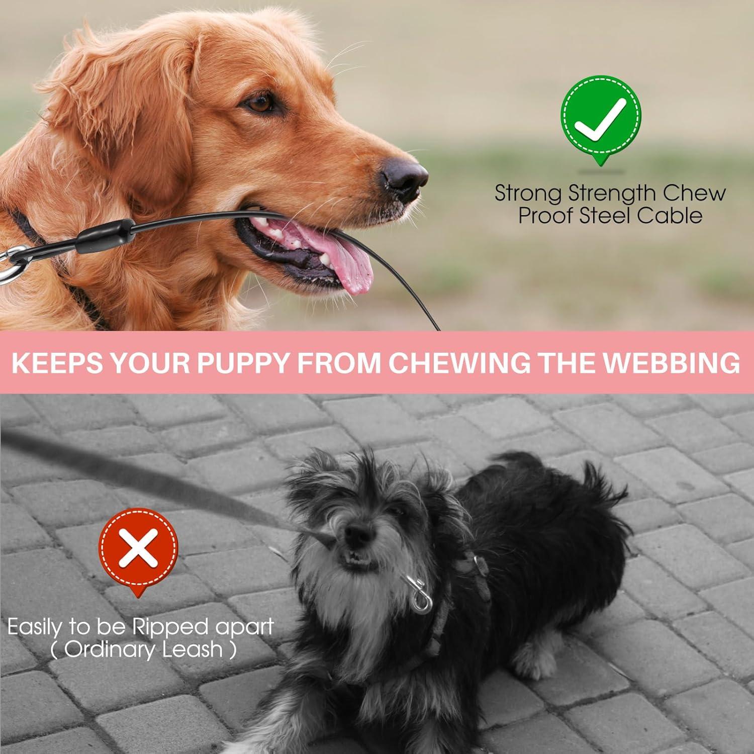 Correa de Perro Retráctil WRSOMIT 4.88m Alta Resistencia Rosa