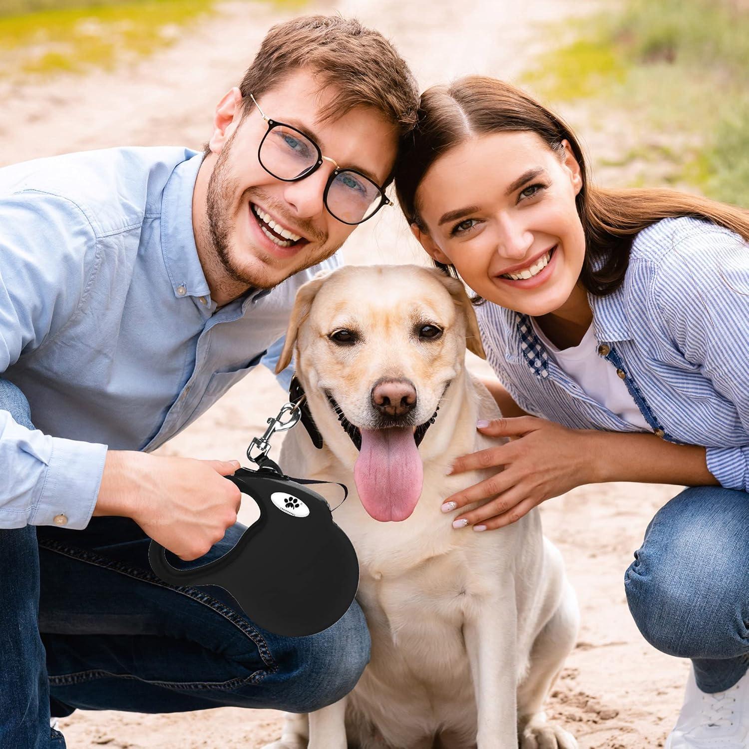 Correa Retráctil para Perros CROWN PAWS 4.88m Grande Negra