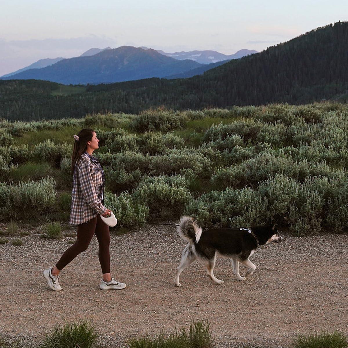 Correa Retráctil para Perros TUG Oval 4.88m con Dispensador Crema