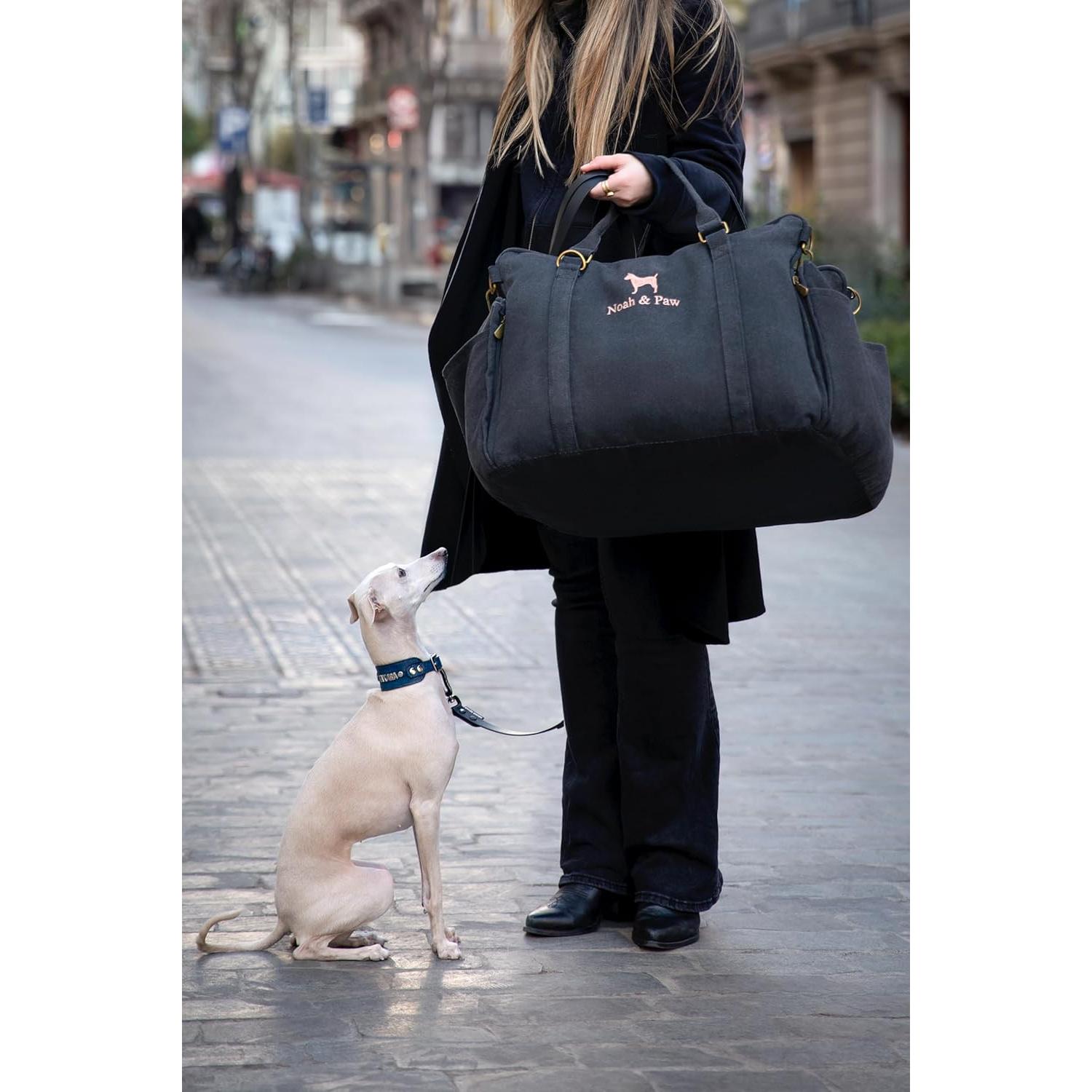 Asiento de Coche para Perros Noah & Paw, Elevado, Impermeable