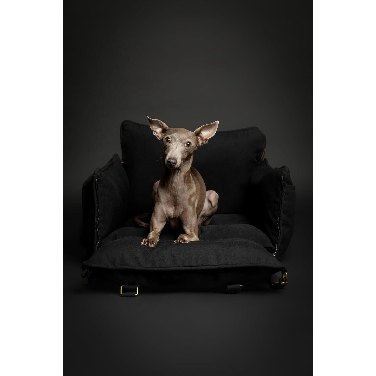 Asiento de Coche para Perros Noah & Paw, Elevado, Impermeable