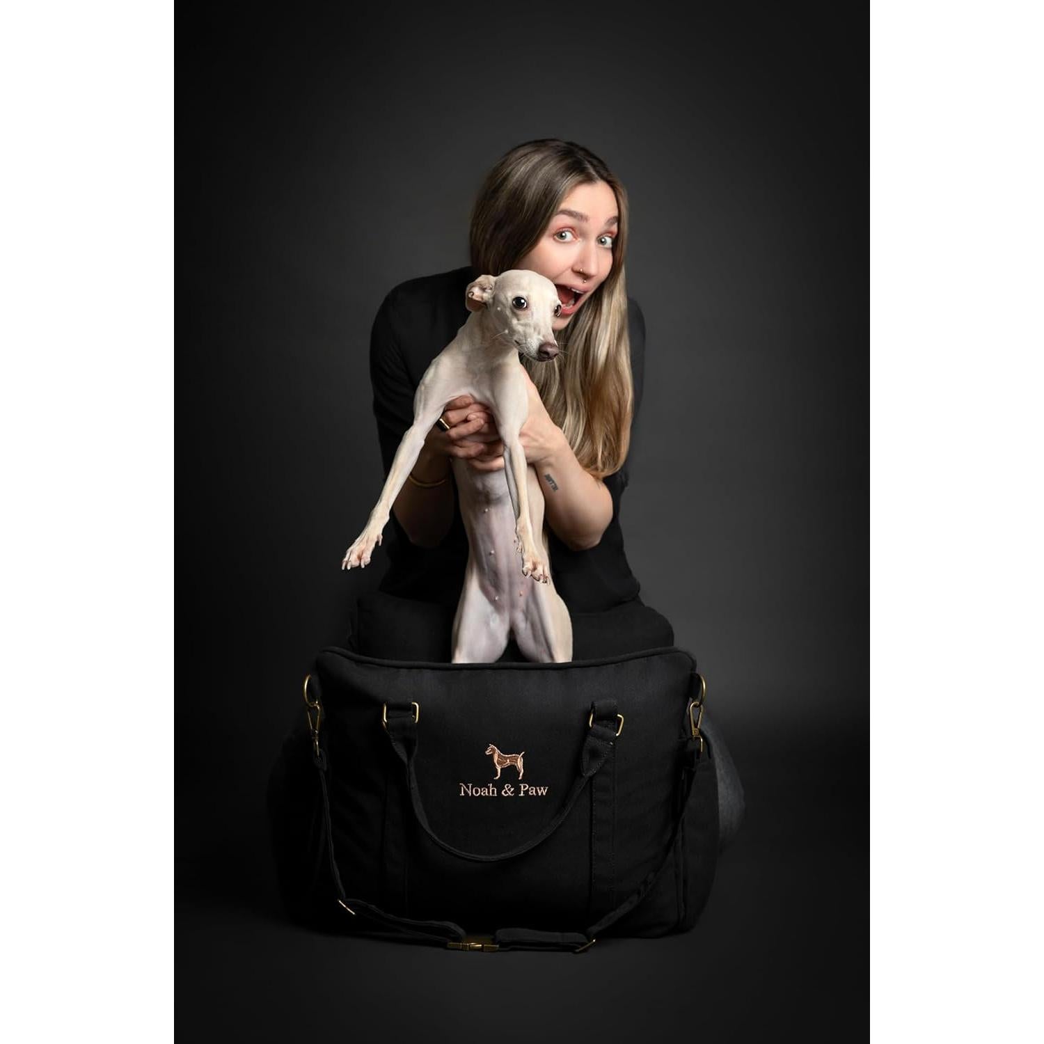 Asiento de Coche para Perros Noah & Paw, Elevado, Impermeable