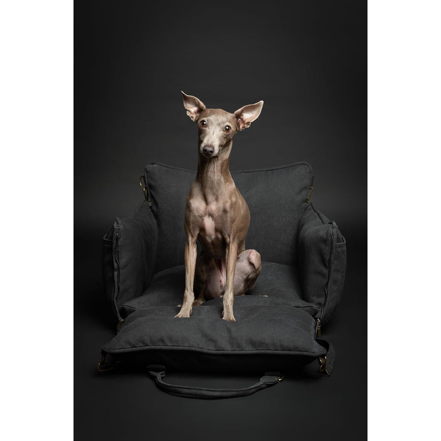 Asiento de Coche para Perros Noah & Paw Mediano Negro Impermeable