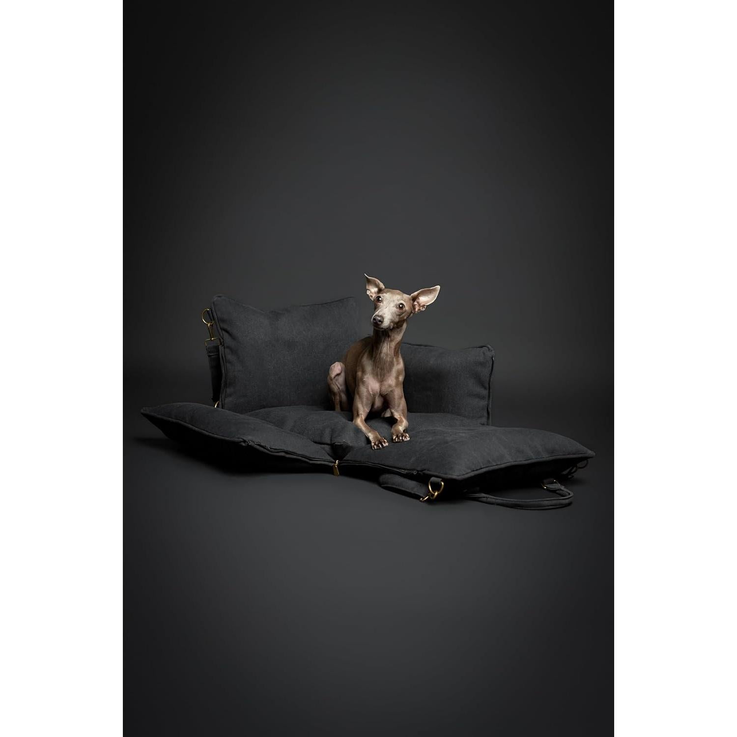 Asiento de Coche para Perros Noah & Paw Mediano Negro Impermeable