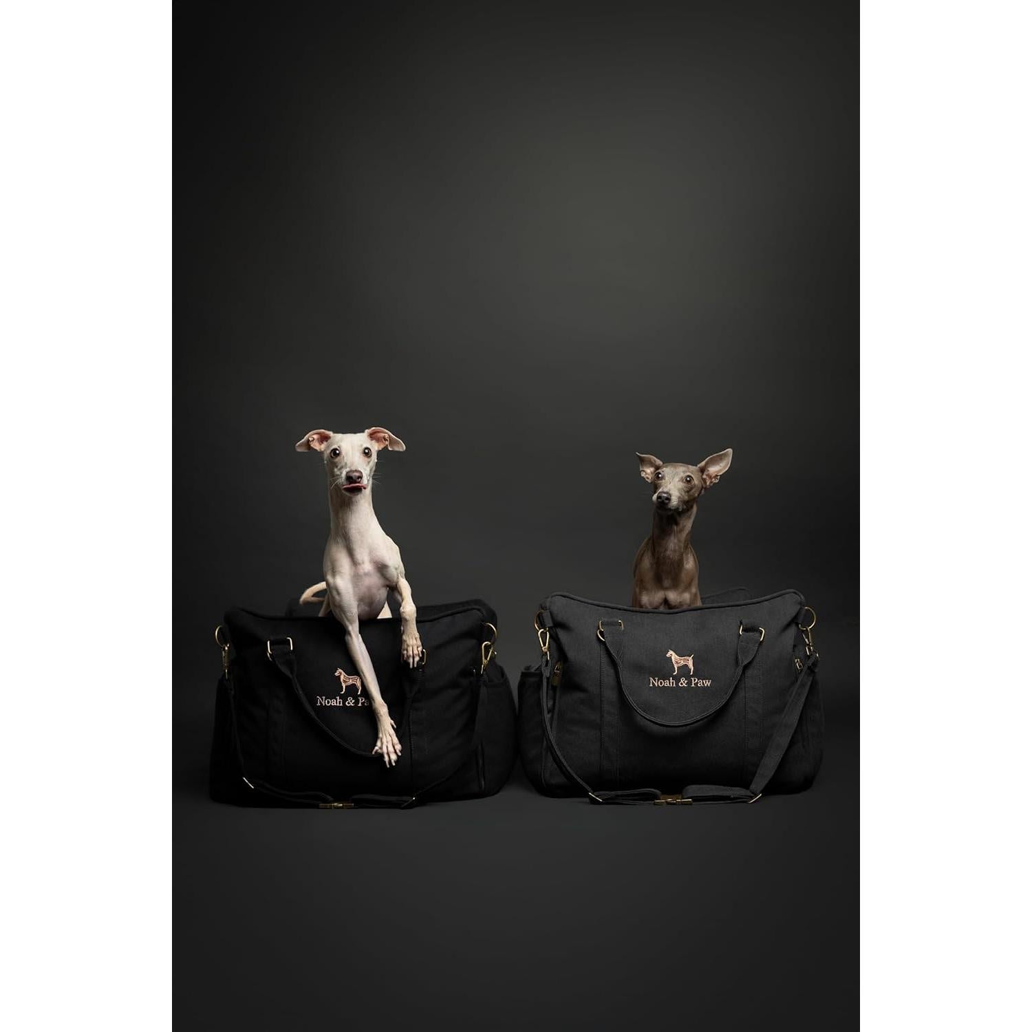 Asiento de Coche para Perros Noah & Paw Mediano Negro Impermeable