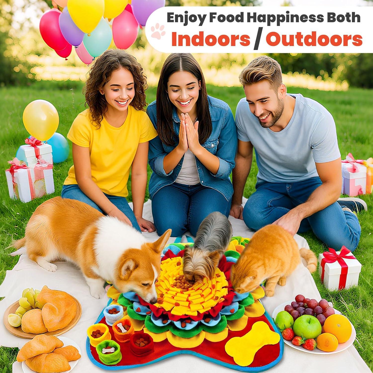 Juego de Alfombra de Olfato y Lamer Petcare 48x48 cm