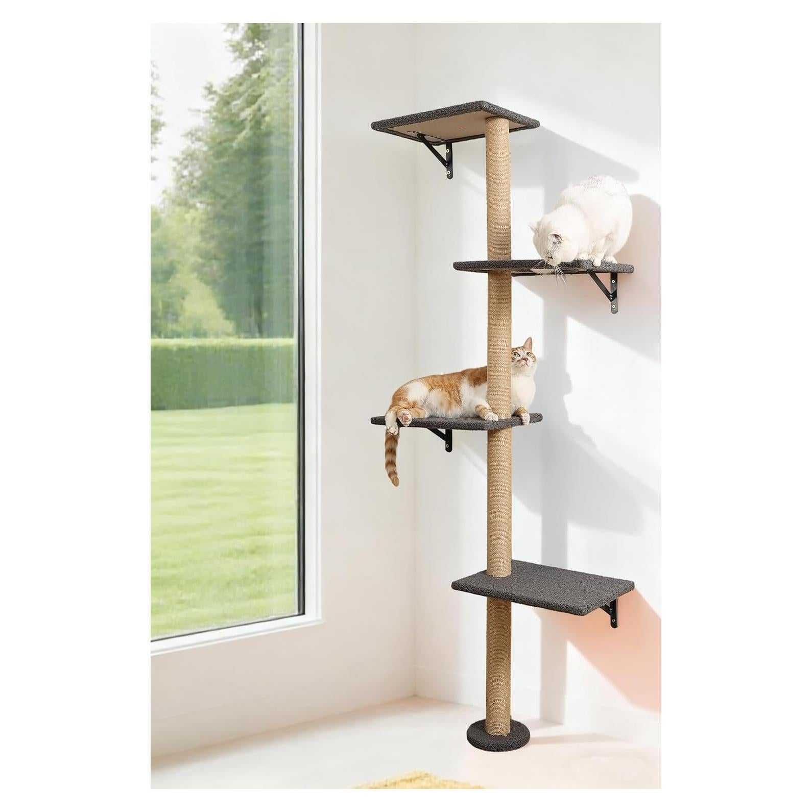 Árbol de Gatos Montado en la Pared HAPYKITYS 4 Niveles Gris