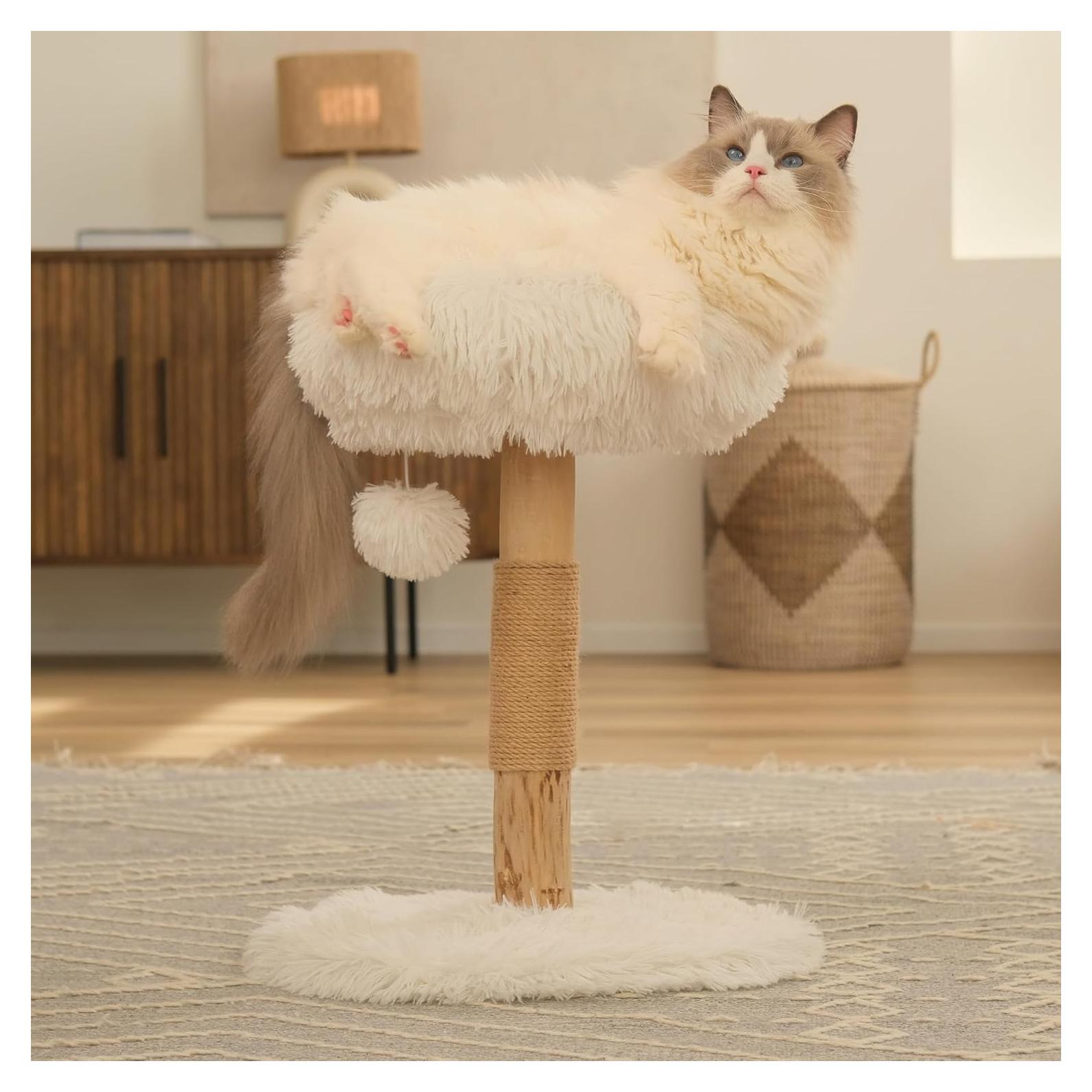 Árbol para Gatos Pathosio Pequeño - Torre Rascador Compacta 53cm