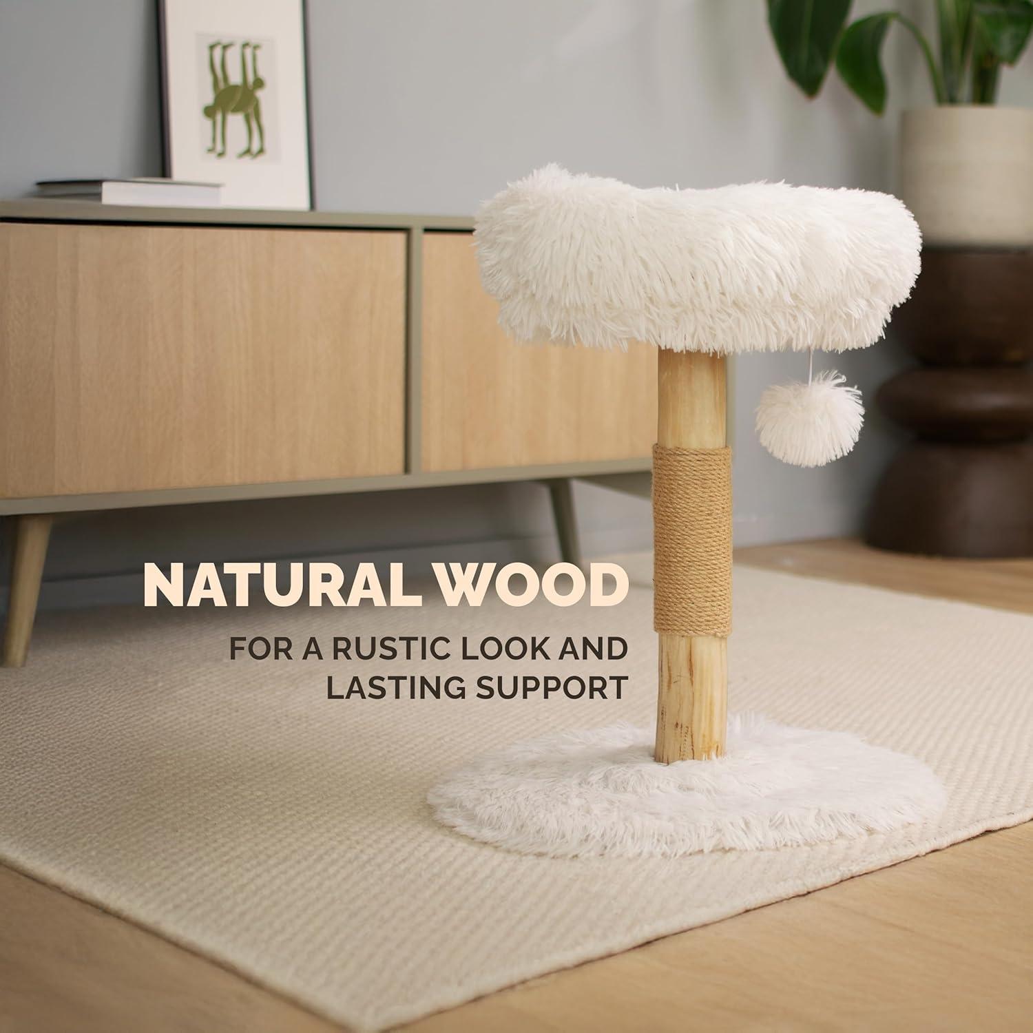 Árbol para Gatos Pathosio Pequeño - Torre Rascador Compacta 53cm