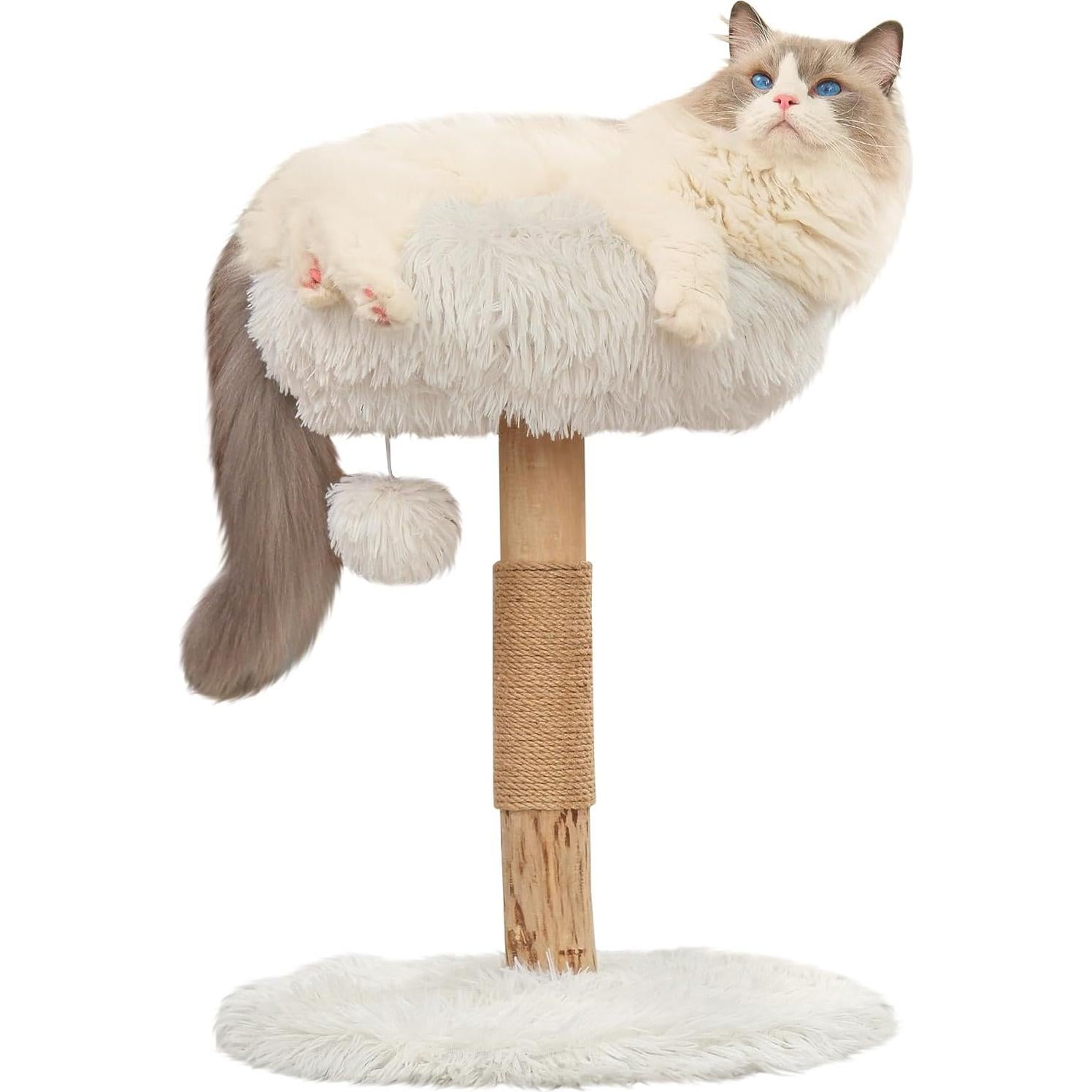 Árbol para Gatos Pathosio Pequeño - Torre Rascador Compacta 53cm