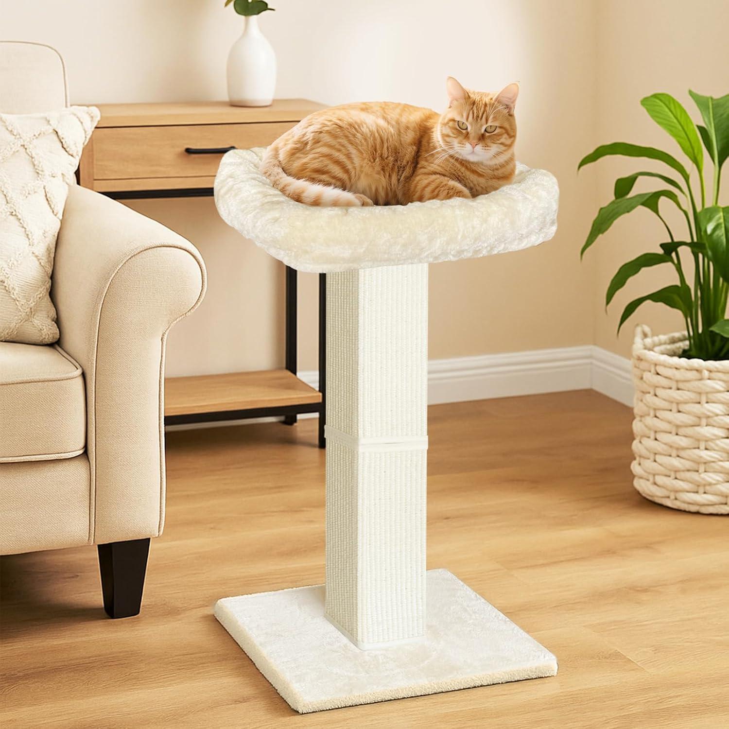 Poste Rascador para Gatos AGYM 81cm Beige con Cama Elevada