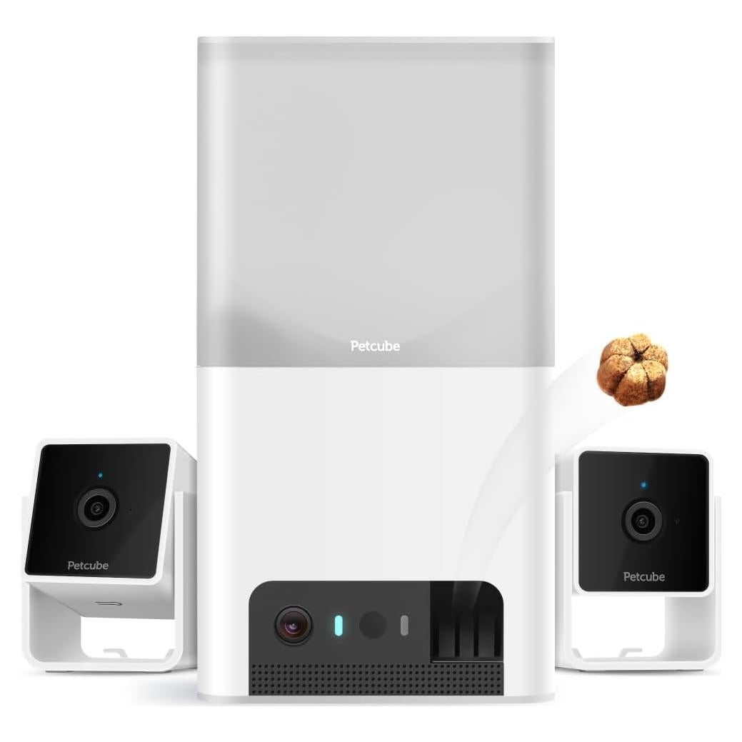 Cámara Petcube Bites 2 Lite con Dispensador de Golosinas HD 1080p